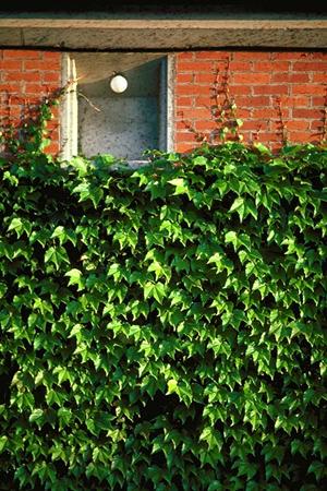 蓄電池を利用して賢く電気を使いましょう