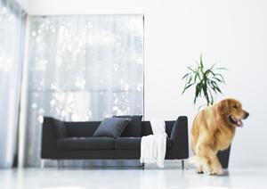 クオリティの高い新築住宅を購入する