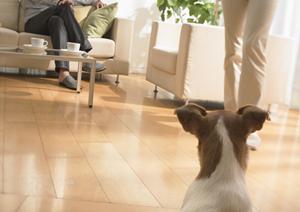 一貫工事でオリジナリティのある分譲住宅