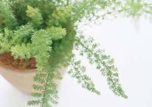 神戸市にあるリフォーム業者に相談しよう